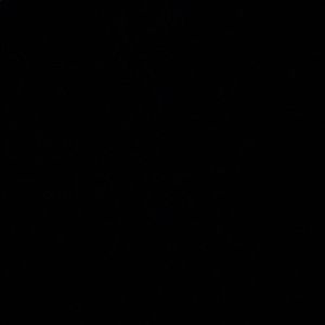 Meet your Posher, Addison